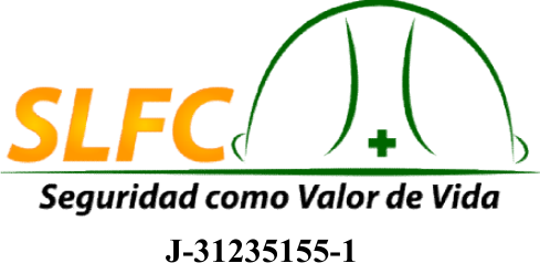 Seguridad LF Consultores, C.A.